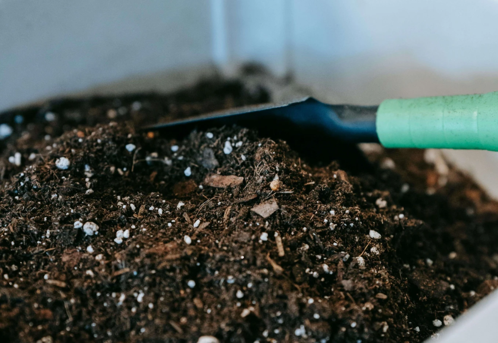 A Guide to Compostable Waste