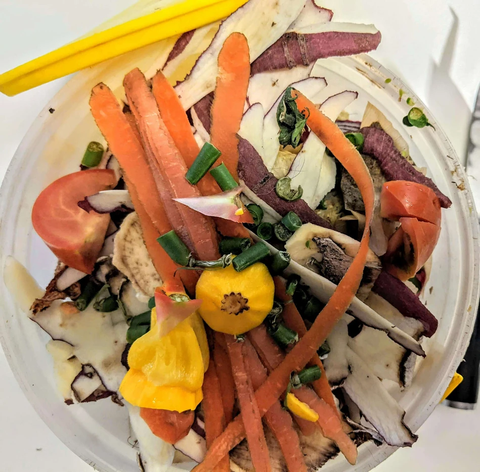 A Guide to Compostable Waste gallery image