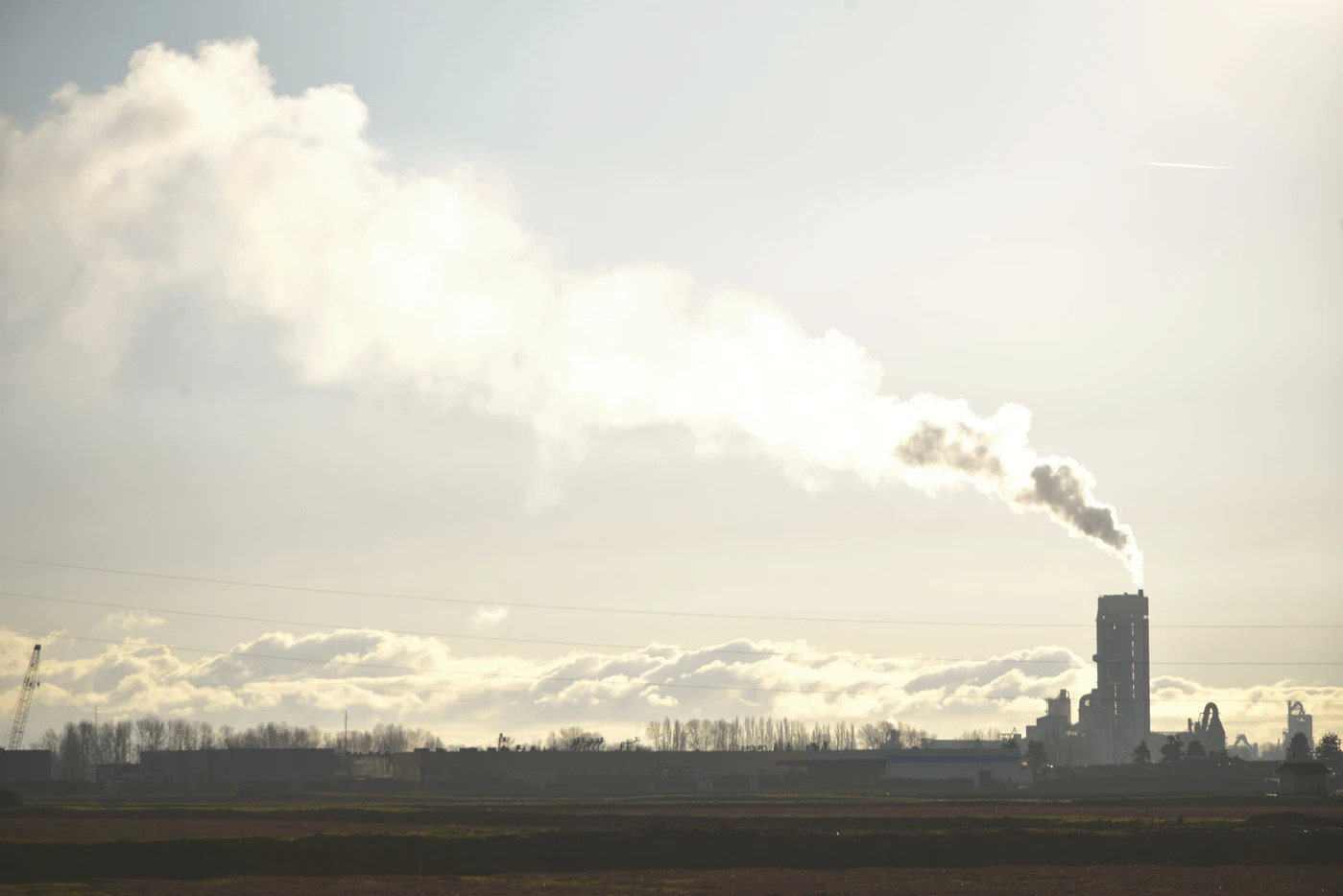 Drive Environmental Change: Reduce Your Carbon Footprint with On-Site Composting Solutions 37 Drive Environmental Change: Reduce Your Carbon Footprint with On-Site Composting Solutions