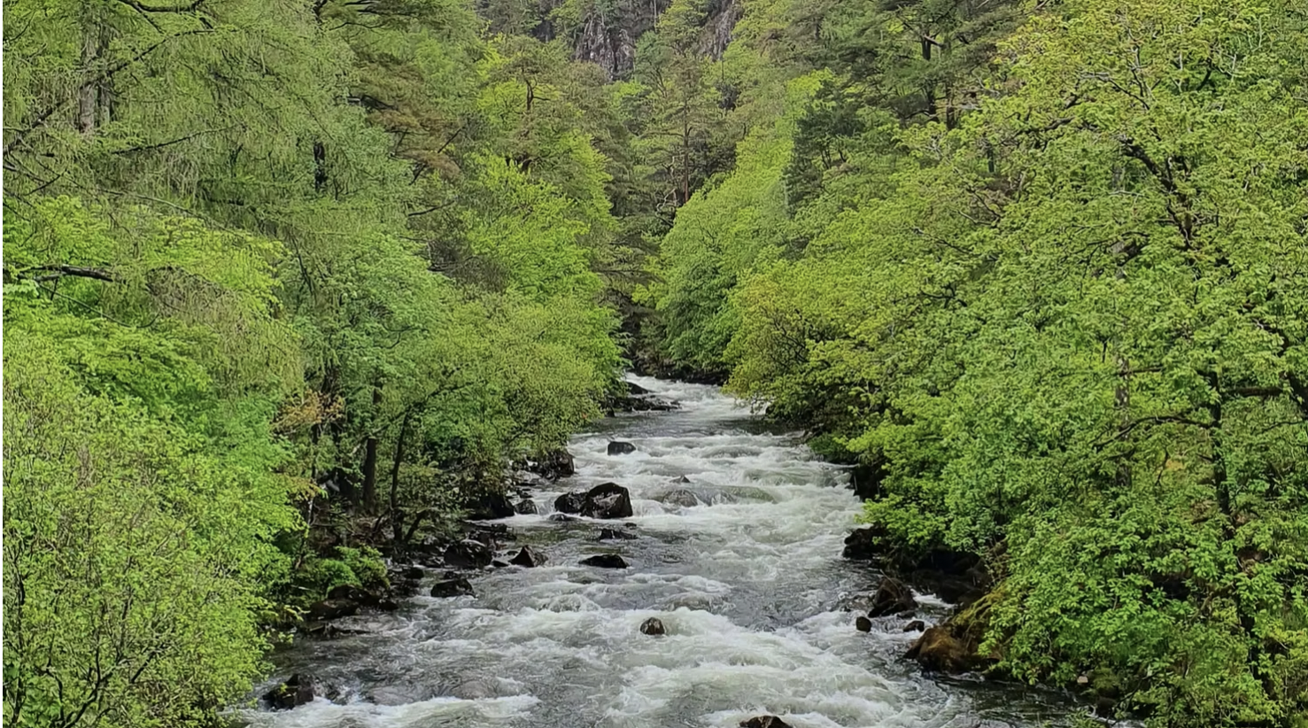 Biodiversity’s Role in Sustainable Waste Management 11 Biodiversity’s Role in Sustainable Waste Management