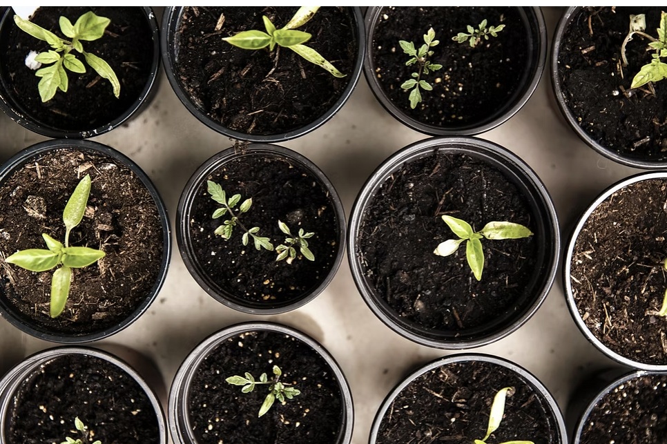 How Sustainability Builds Customer Loyalty 21 How Sustainability Builds Customer Loyalty