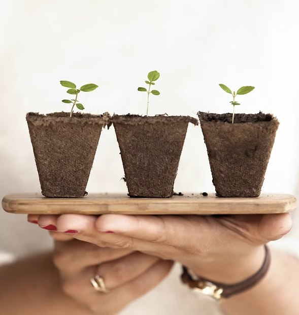 Fostering a Green Company Culture Through Employee Engagement in Sustainability 24 Fostering a Green Company Culture Through Employee Engagement in Sustainability