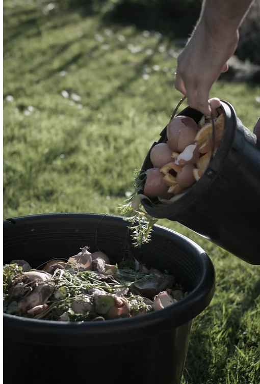 Boosting Soil Health and Odor Management with On-Site Composting 29 Boosting Soil Health and Odor Management with On-Site Composting