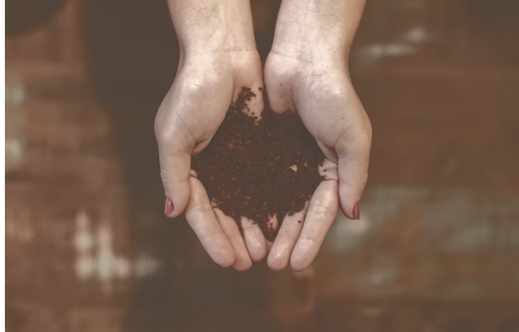 Transform Waste into Opportunity with On-Site Composting 40 Transform Waste into Opportunity with On-Site Composting