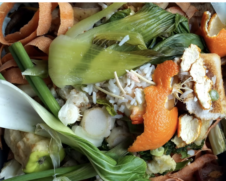 On-Site Composting as a System 14 On-Site Composting as a System