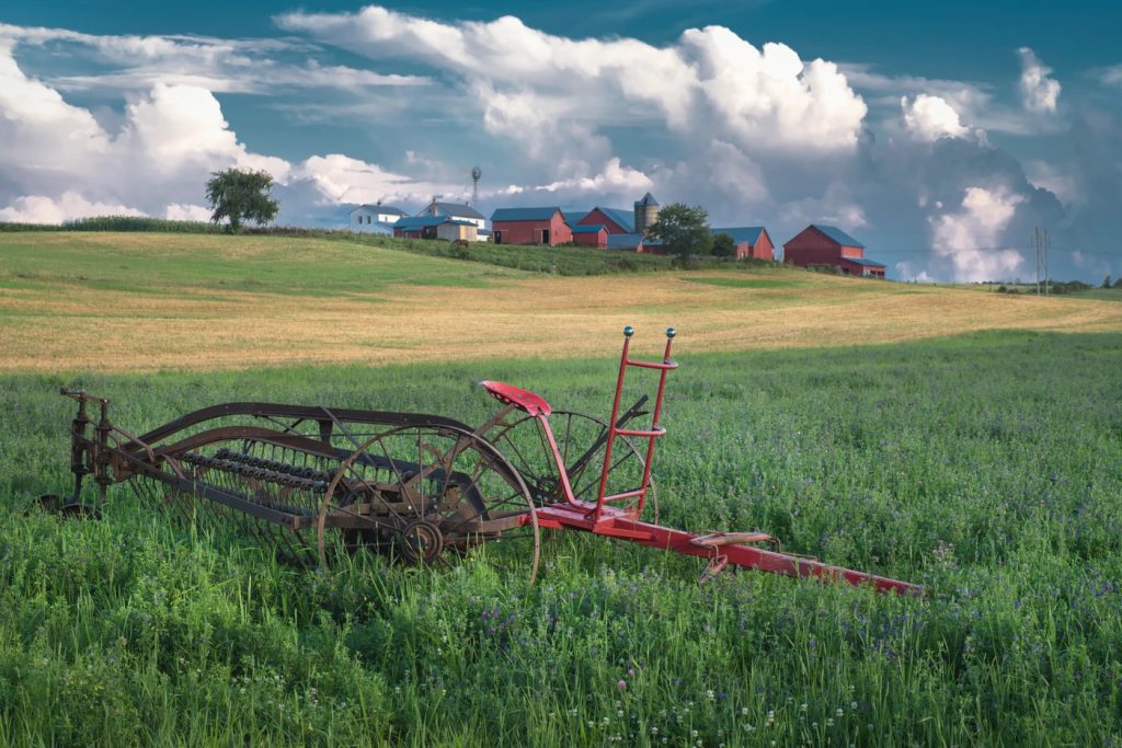 Soil Amendment gallery image