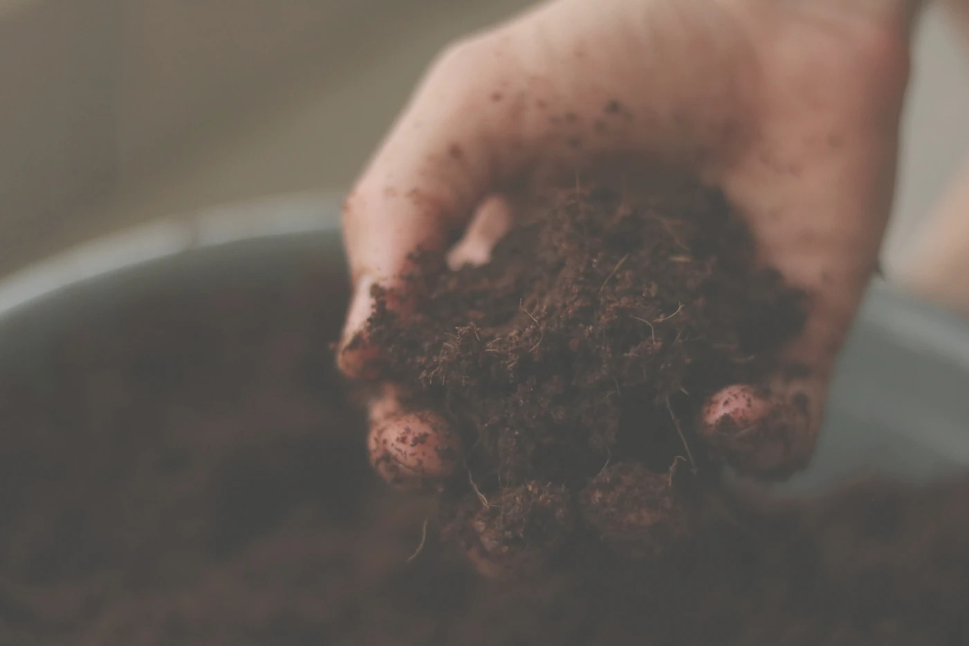 Soil Amendment: What It Is and How to Use It 34 Soil Amendment: What It Is and How to Use It